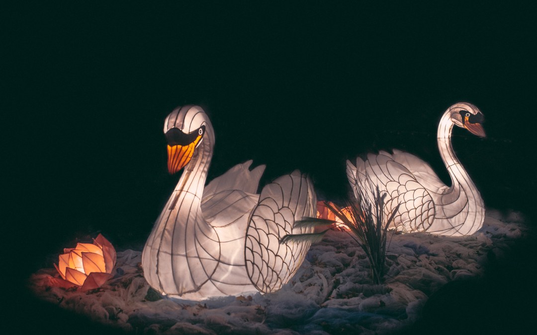 Auckland Lantern Festival