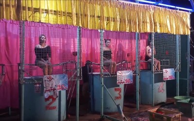 Thai Ladyboy Dunk Tanks