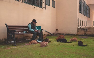 Pasta and Cats – Three Days in Malta