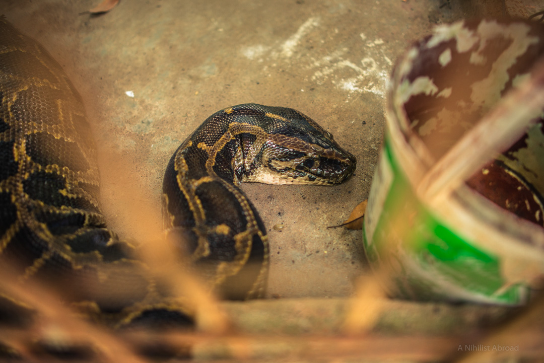 Vietnam Mekong Zoo-2