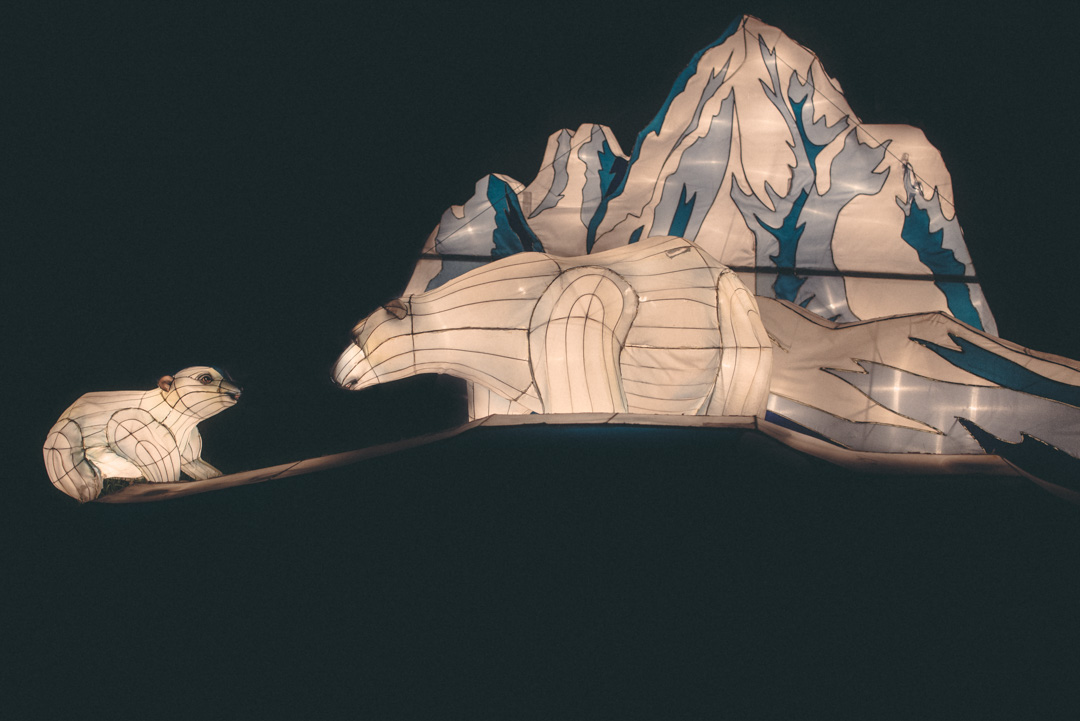 Missing Polar Bear Lantern