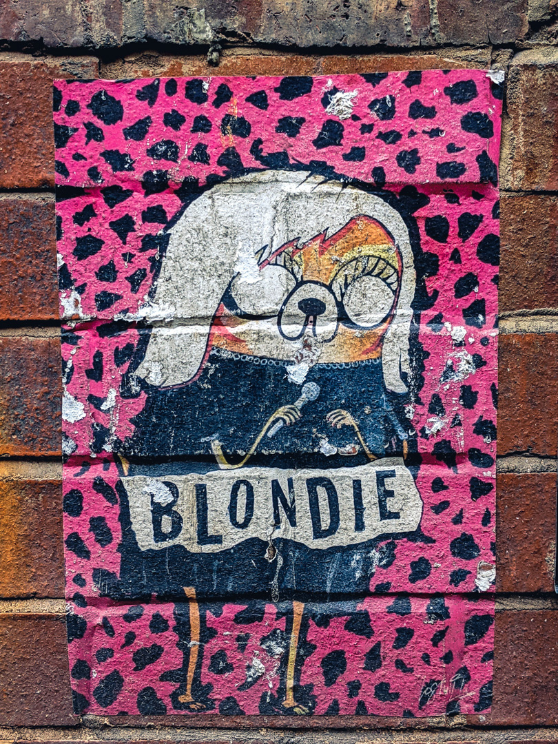 Testing the Google Pixel 5 Camera