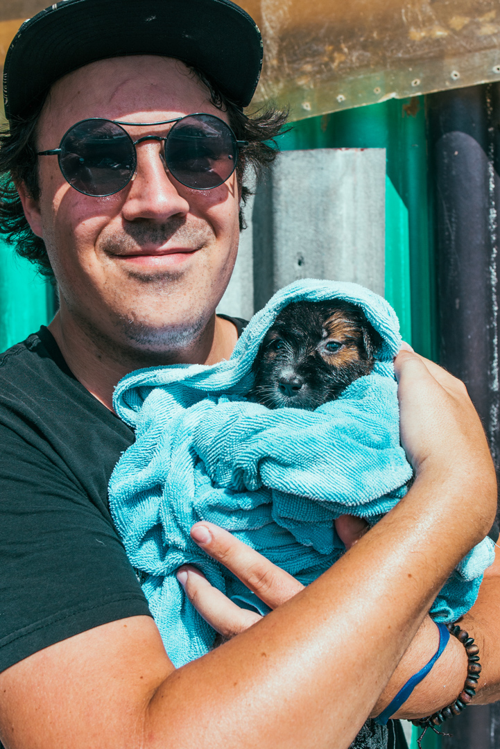 image dump Me Helping a Dog Shelter in Koh Lanta Thailand